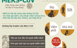 Infographic: Những sự thật về dịch MERS-CoV chết người