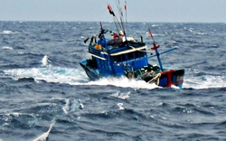 Tàu cá chết máy, 38 ngư dân trôi dạt trên biển 3 ngày
