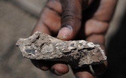 Phát hiện mảnh hóa thạch về con người đầu tiên trên trái đất