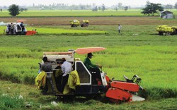 Phát triển HTX nông nghiệp kiểu mới: Khâu đột phá để  tái cơ cấu nông nghiệp