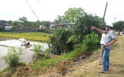 Điện giật gây tử vong người đang cày ruộng, cần truy rõ trách nhiệm