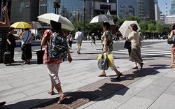 Nhật Bản: 780 người phải cấp cứu vì nắng nóng