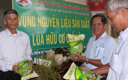 Hội Nông dân lớn mạnh giữa lòng đô thị 