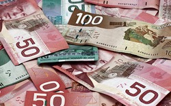 Canada: Ăn mày nhặt được 33 triệu đồng, mang nộp cảnh sát
