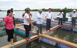 Quỹ hỗ trợ nông dân: Điểm tựa vững chắc của nhà nông