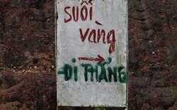Hình ảnh “khó tìm hiếm thấy” chỉ có ở Việt Nam &#40;2&#41;