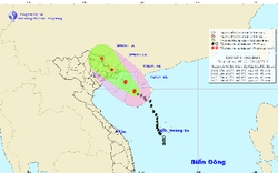 Đêm nay, Quảng Ninh đón gió bão Kujira giật cấp 9-10