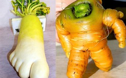 Những hình ảnh “độc, dị” của các loại rau củ