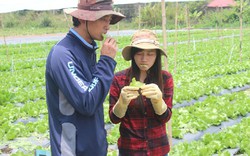 Người nước ngoài mê làm nông ở Việt Nam