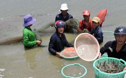 Nông thủy sản không đủ bán