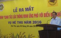 Canh tác lúa thông minh ứng phó với biến đổi khí hậu