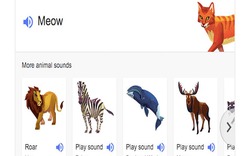 Google Search có tính năng "nghe tiếng động vật"