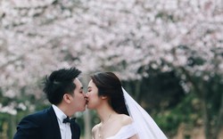 Ảnh cưới bên hoa anh đào Hàn Quốc mê hoặc giới trẻ