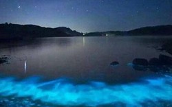 TQ: Nước biển phát sáng xanh kì quái giữa đêm
