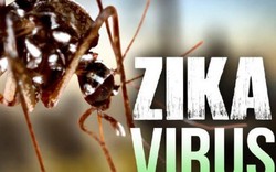 Truy tìm nguồn gốc nhiễm Zika của bệnh nhân ở Khánh Hòa