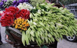 Hương hoa loa kèn trên phố Hà Nội