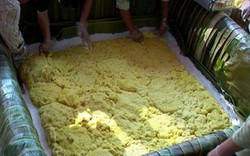 Vì sao Giỗ Tổ Hùng Vương 2016 không nhận bánh chưng 2,5 tấn?