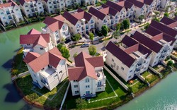 Vinhomes Riverside ra mắt “Biệt thự phố Tây” Hoa Sữa Aroma