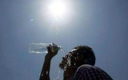 Ấn Độ: 130 người chết vì nắng nóng khủng khiếp