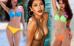 Đường cong sexy của 8 mỹ nữ Việt "nghiện" thi sắc đẹp
