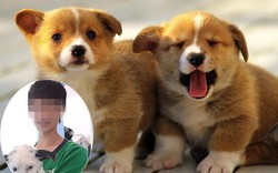 Trạm cứu hộ chó mèo Đà Nẵng: Kẻ bị tố cáo lên tiếng