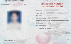 Hậu Giang: Trưởng Ban tổ chức Thành ủy Vị Thanh xài bằng THCS mượn