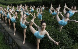 Gái trẻ vừa múa ballet vừa hái chè bị "ném đá" tới tấp