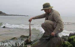Cận cảnh cá chết la liệt bất thường dọc bờ biển Hà Tĩnh
