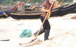 Quảng Trị: Thu gom khoảng 30 tấn xác cá chết dạt vào bờ biển