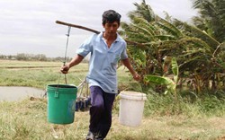 Cấp bách cứu sông Mekong