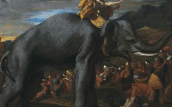 Danh tướng Hannibal và bí ẩn 2.000 năm hé lộ nhờ... phân ngựa