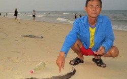 Vụ cá chết: Hơn 20 ngày không có đoàn khách du lịch đến Quảng Bình