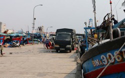 Ảnh hưởng vụ cá chết, Đà Nẵng đối thoại với ngư dân, thương lái