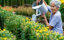 Khát vọng của làng hoa trăm tuổi