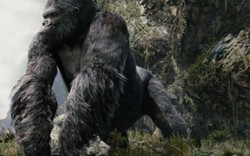 “Kong:Skull Island” bị kiện vì ăn cắp ý tưởng câu chuyện