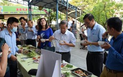 Phó Chủ tịch TT-Huế ăn cá biển, "cứu" hải sản sạch