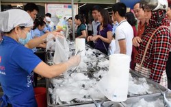 Thu mua hơn 200 tấn cá của ngư dân Thừa Thiên-Huế