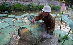 Ảnh: Lão nông từng bắn rơi 7 máy bay Mỹ giữa đời thường