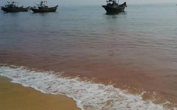 Quảng Bình: Xuất hiện nước biển có màu lạ