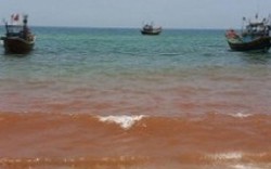 Clip: Vệt nước biển đỏ dài 1,5km tại Quảng Bình