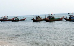 Vệt nước đỏ ở Quảng Bình biến mất, lưới của ngư dân sạch như giặt