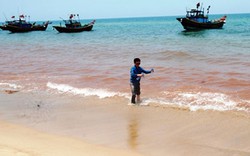 Vệt nước đỏ dọc bờ biển Quảng Bình đã biến mất