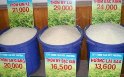 Doanh nghiệp tranh mua nếp và gạo thơm