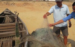 Quảng Bình đề nghị Bộ TNMT vào cuộc vụ “lưới sạch như giặt”
