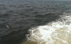 Xuất hiện dải nước biển màu bất thường ở Hà Tĩnh
