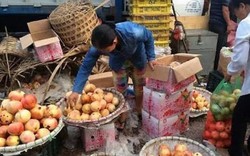 Dân tẩy chay, ngàn tấn hoa quả Trung Quốc tuồn về đâu?