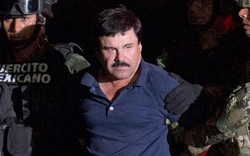 "Bố già" El Chapo có nhiều máy bay hơn hãng hàng không lớn nhất Mexico