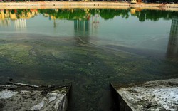 Tốn 20 tỷ đồng cải tạo, hồ Ngọc Khánh vẫn bốc mùi hôi thối