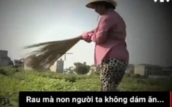 Nhà báo Trần Đăng Tuấn nói về lỗi tác nghiệp vụ “dùng chổi quét rau”
