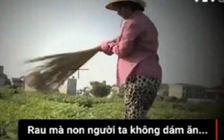 Vụ "dùng chổi quét rau": VTV bị phạt 50 triệu đồng, buộc cải chính